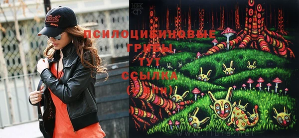 дурь Майский