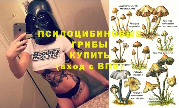 крисы Балахна