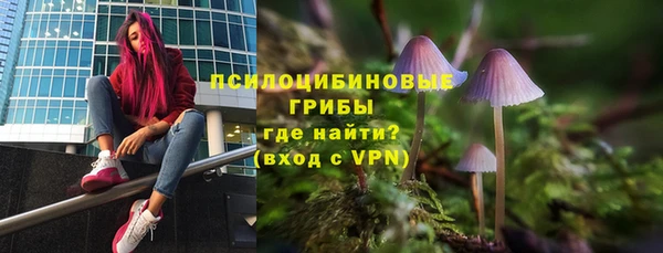 мескалин Белокуриха